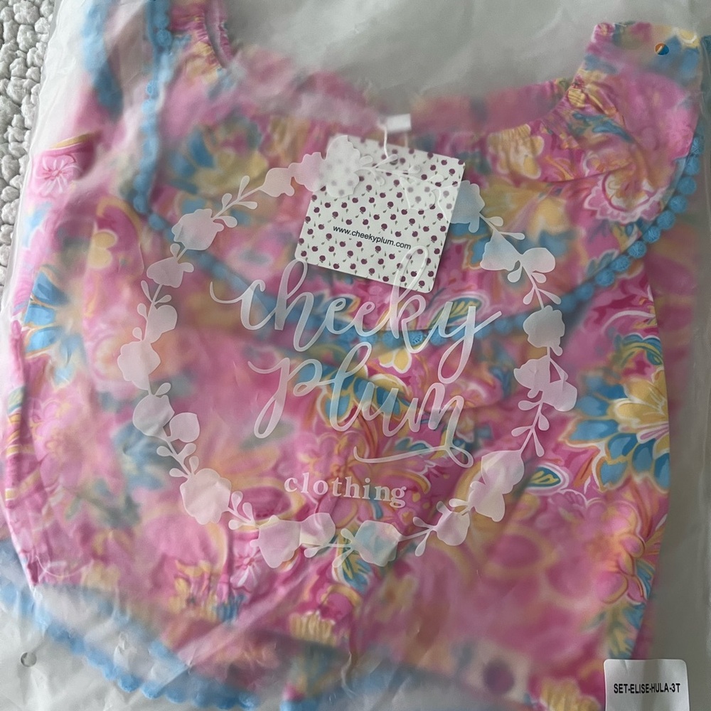 Cheeky Plum Pink and Blue Floral Top